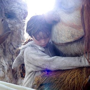 Foto Donde viven los monstruos