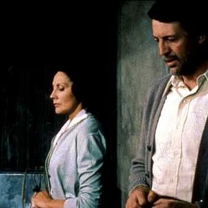 Foto El castillo de la pureza