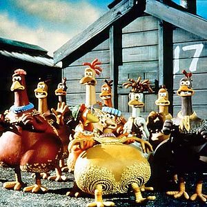 Foto Pollitos en fuga