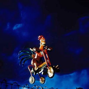 Foto Pollitos en fuga