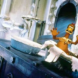 Foto Pollitos en fuga