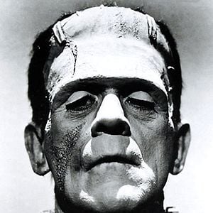 Frankenstein - Película 1931.mx