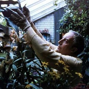 Foto Un jardinero con suerte