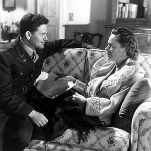 Foto La luz es para todos