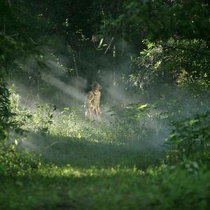 Foto Tommy Lee Jones