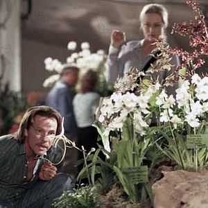 El ladrón de orquídeas - Película 2002.mx