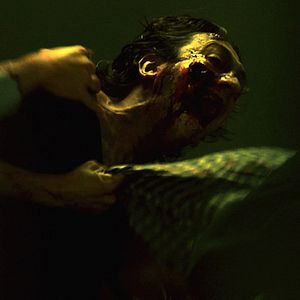 Foto Jaume Balagueró