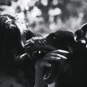 Foto François Truffaut