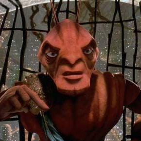 Foto Antz: Hormiguitaz