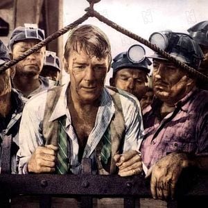 Foto Marlene Dietrich