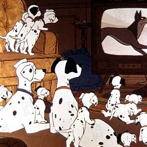 Foto 101 dálmatas: La noche de las narices frías