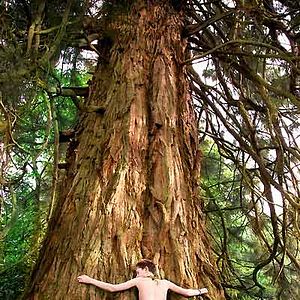 Foto Arthur y la venganza de Maltazard