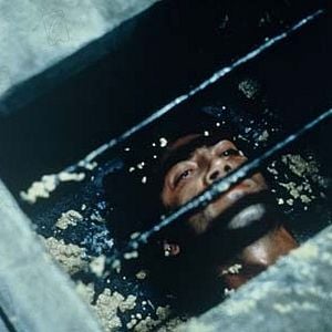 Foto Antes que anochezca