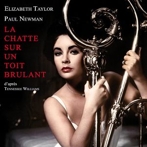 Foto La gata sobre el tejado de zinc