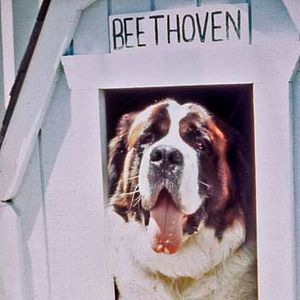 Foto Beethoven