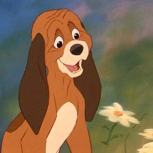 Foto El zorro y el sabueso