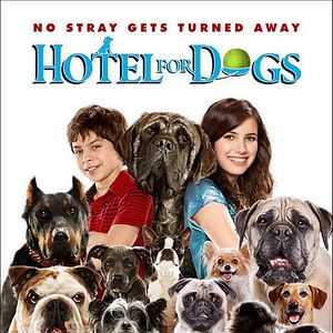 Foto Hotel para perros