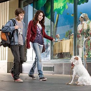 Foto Hotel para perros