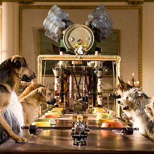 Foto Hotel para perros