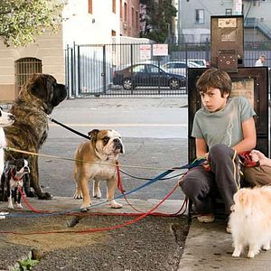 Foto Hotel para perros