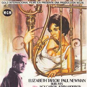 Foto La gata sobre el tejado de zinc