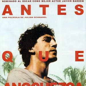 Foto Antes que anochezca