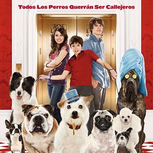 Foto Hotel para perros