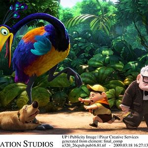 Foto Up, una aventura de altura