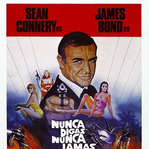 Foto Nunca digas nunca jamás