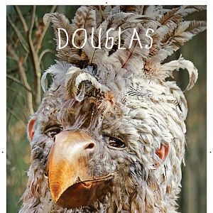 Foto Donde viven los monstruos