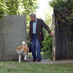 Foto Siempre a tu lado