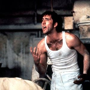 Foto Hechizo de luna