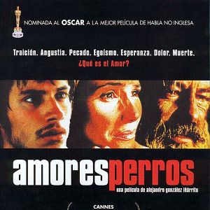 Foto Amores perros