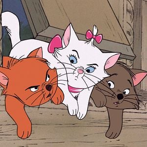 Foto Los Aristogatos