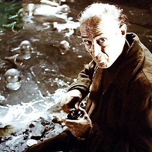 Foto Stalker: La zona