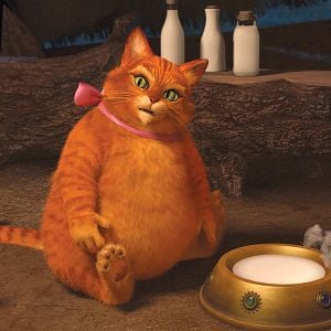 Foto Shrek para siempre