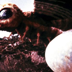 Foto Godzilla contra Mothra