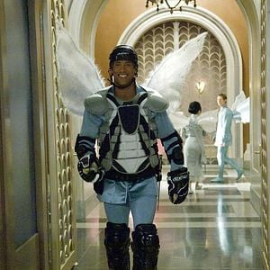 Foto Hada por accidente