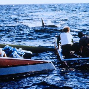 Tiburón 2 - Película 1978.mx