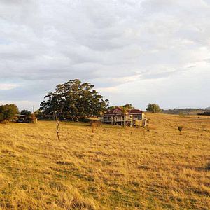 Foto Julie Bertuccelli