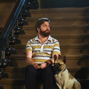Foto Zach Galifianakis