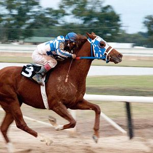 Foto Randall Wallace