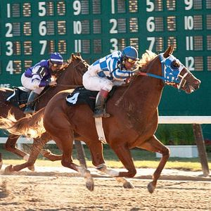 Foto Randall Wallace