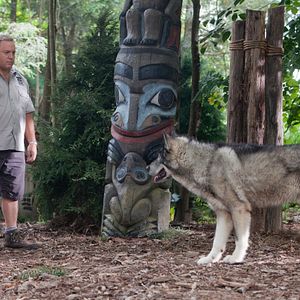 Foto El Guardián del Zoológico