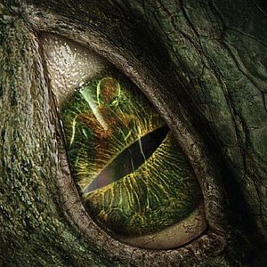 Foto El sorprendente Hombre Araña