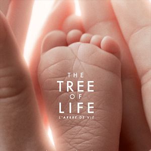 Foto El árbol de la vida