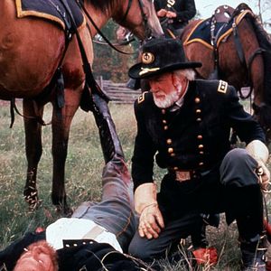 Foto Danza con lobos