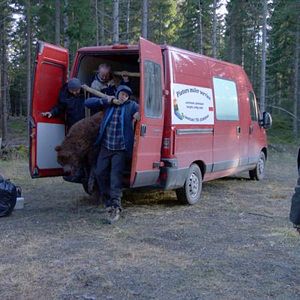 Foto André Øvredal