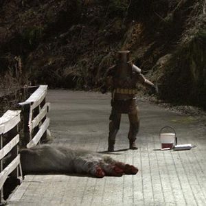 Foto André Øvredal