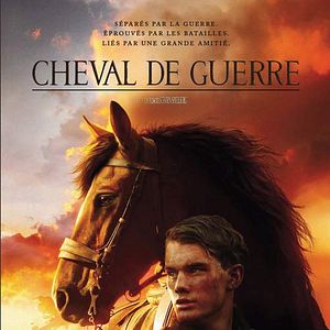 Foto Caballo de guerra